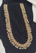 Reverse A.D Mala